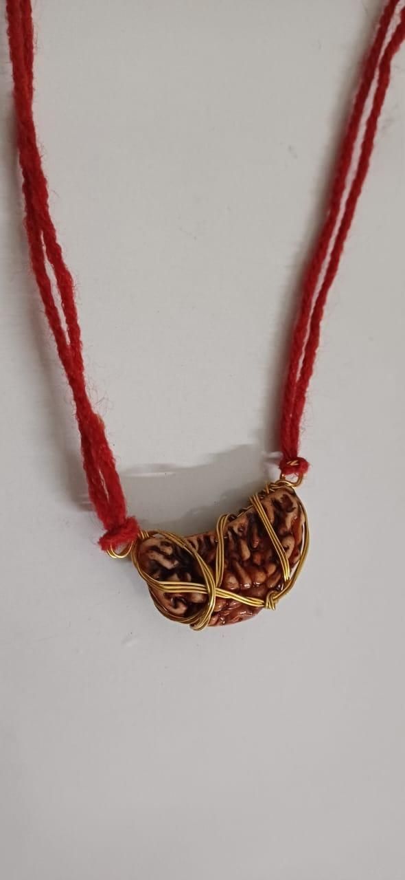 The Divine One Mukhi Rudraksha