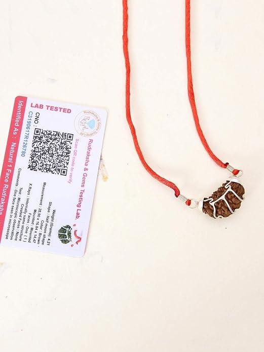 The Divine One Mukhi Rudraksha
