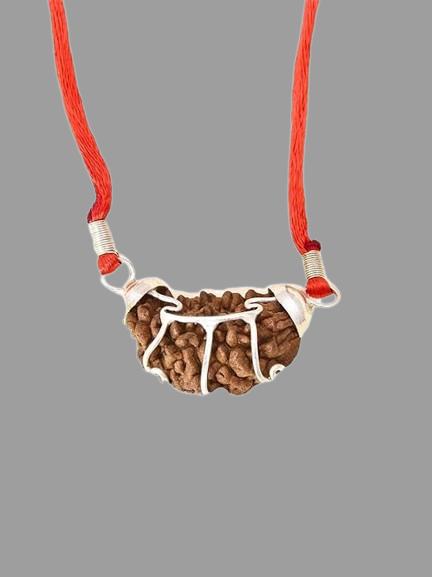The Divine One Mukhi Rudraksha