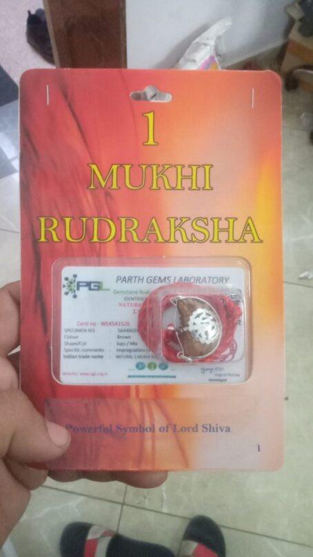 The Divine One Mukhi Rudraksha